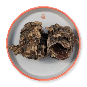 Epiglottide di Bovino