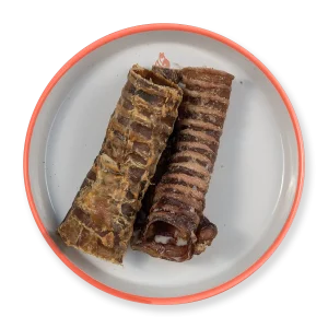 Trachea di Bovino