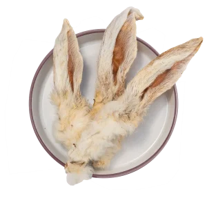 Orecchie di Coniglio con Pelo