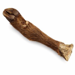 Zampa di Bufalino 1pz